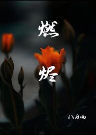 燃烬姜海吟小说