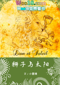 狮子与太阳小说网盘